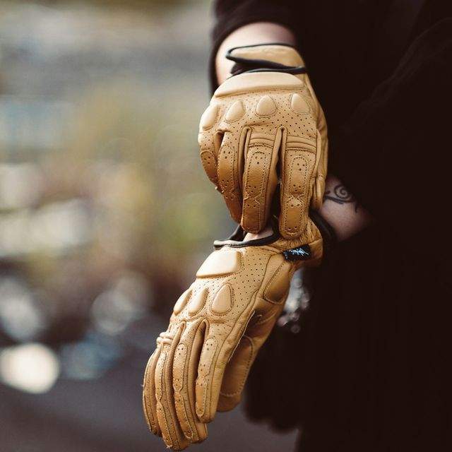 Gloves