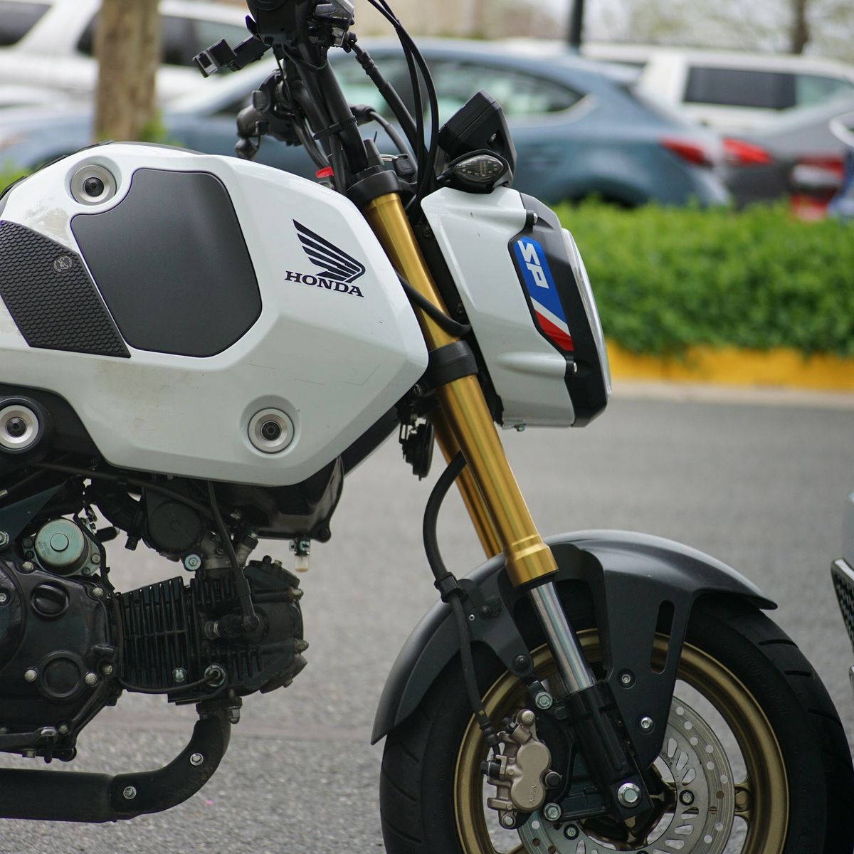 Honda grom Honda grom