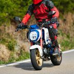 Honda grom Honda grom