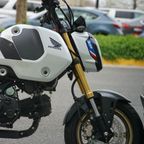 Honda grom Honda grom